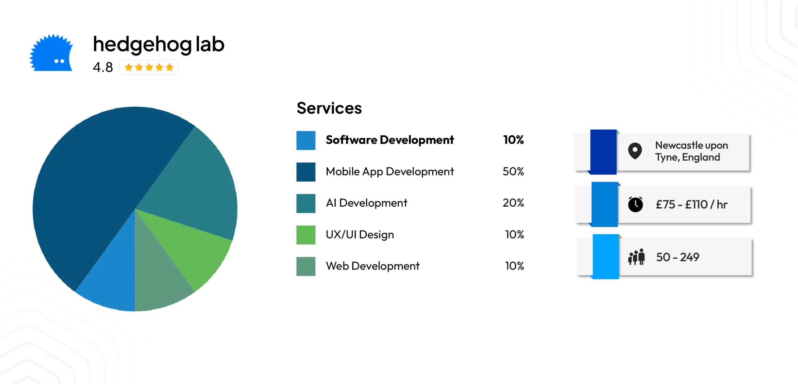 Hedgehog Lab — Enterprise Digital Product & AI Development