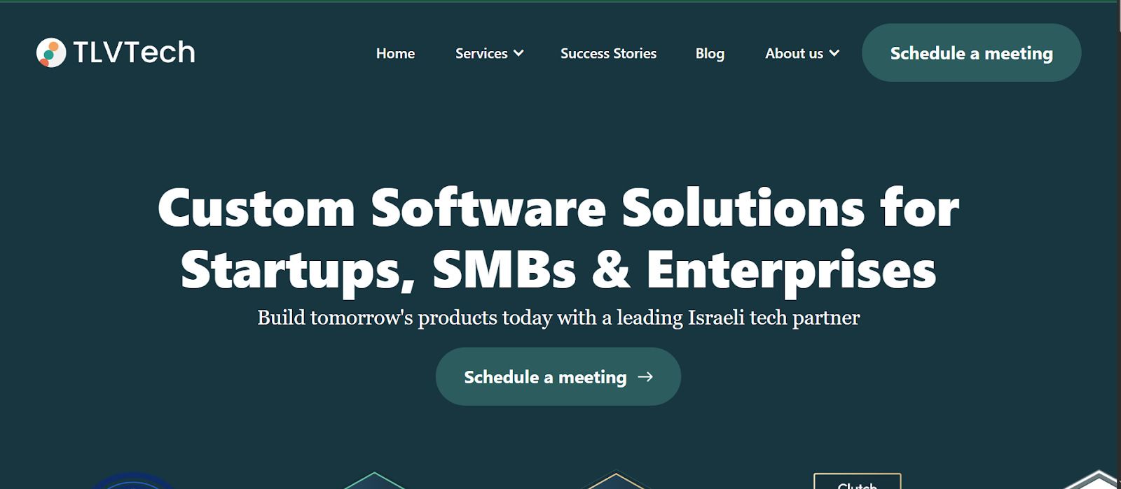 TLV Tech – Technology-Focused Web Solutions