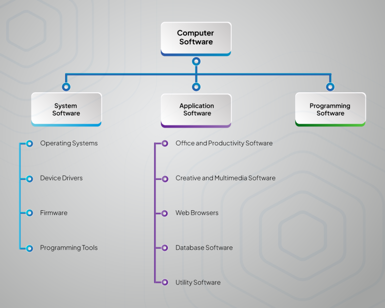 The Complete Guide to Computer Software Types