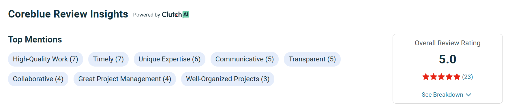 Coreblue review saas