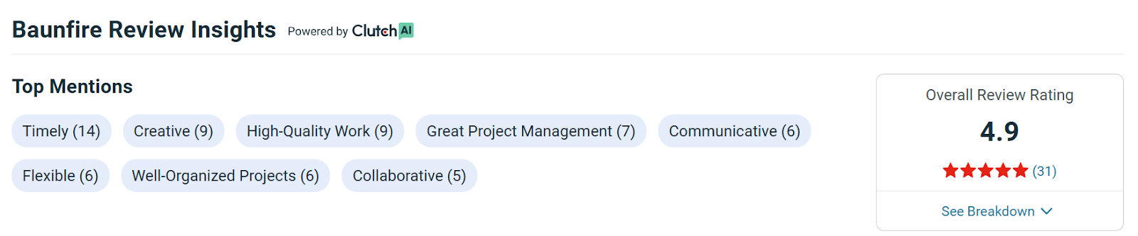 Baunfire review- php