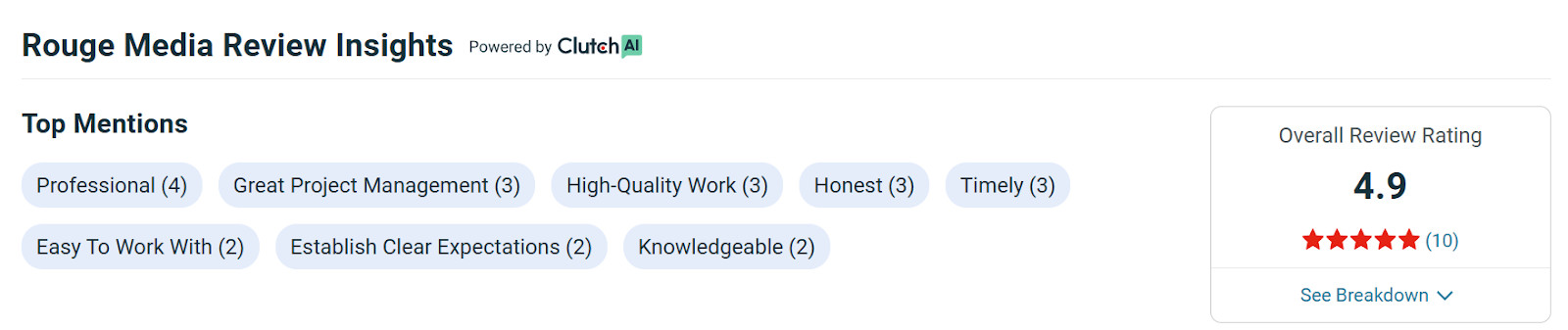 Rouge Media review - php