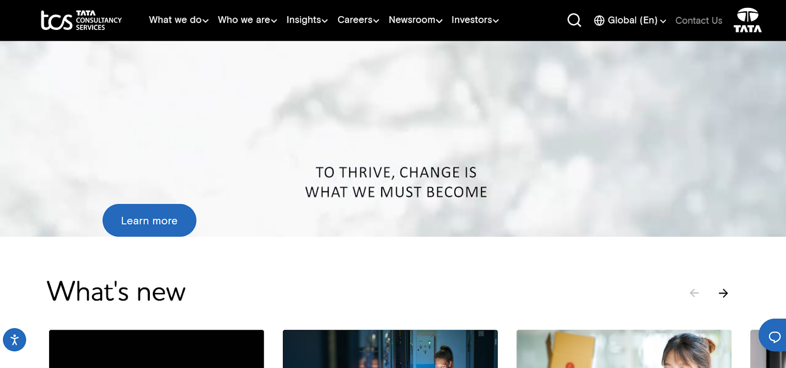 Infosys AlternatIve- TCS