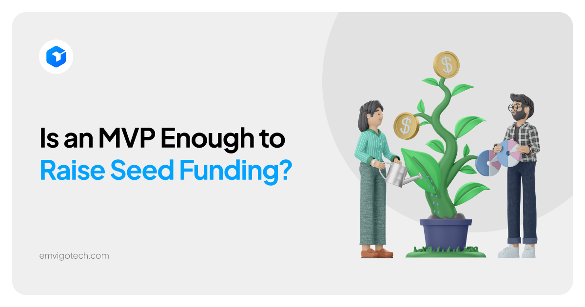 MVP for Seed Funding