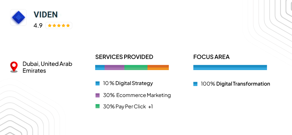 VIDEN — Focus area and service provided