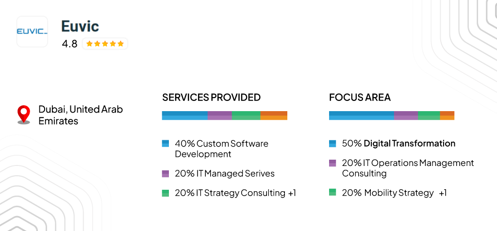 Euvic — Global IT Solutions & Digital Transformation Partner: service provided and focus area